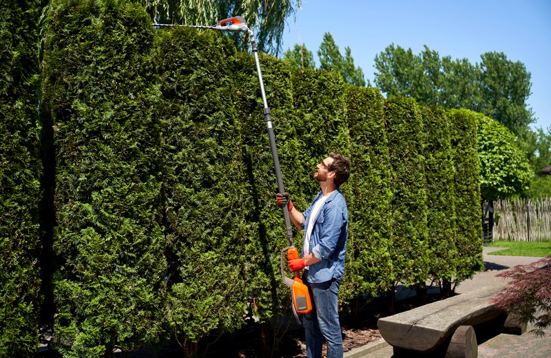 Professional shrub trimming service